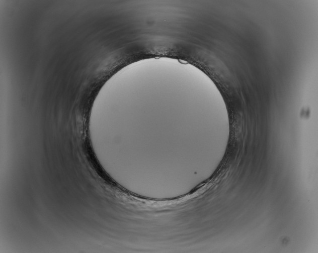 X0000097890031200804041321