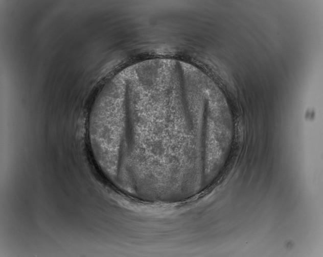 X0000097890032200804041321