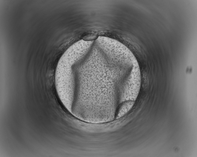 X0000097890034200804041321