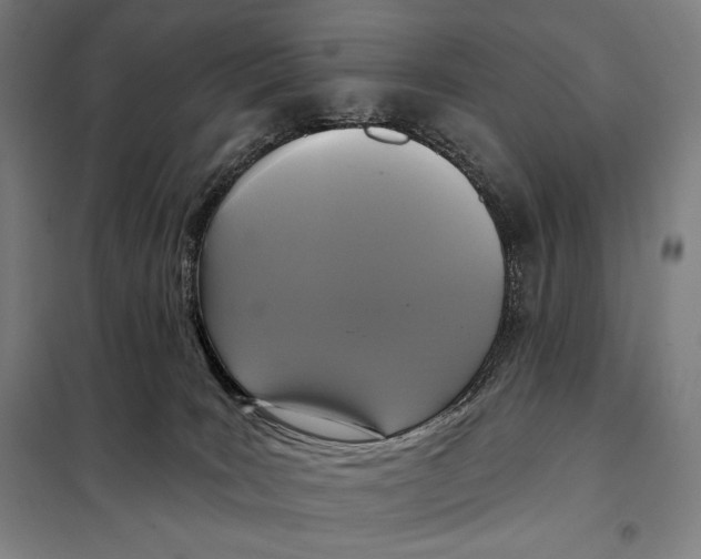 X0000097890035200804041321