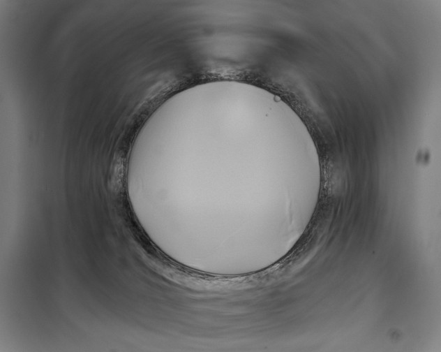 X0000097890036200804041321