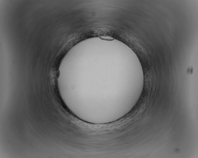 X0000097890038200804041321