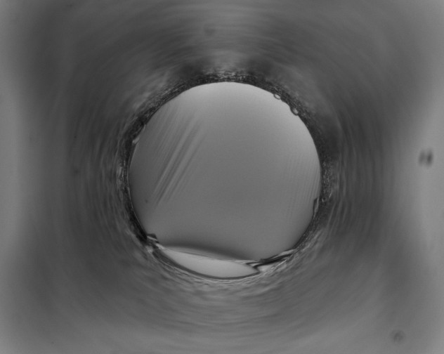 X0000097890039200804041321