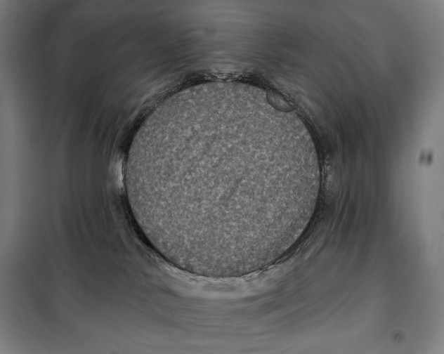 X0000097890042200804041320