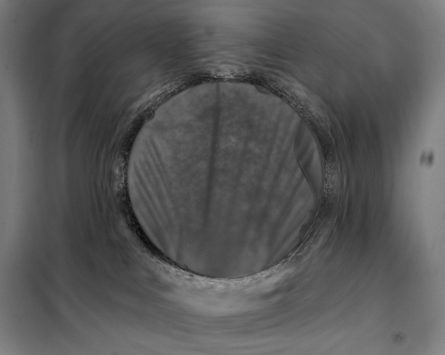 X0000097890043200804041320