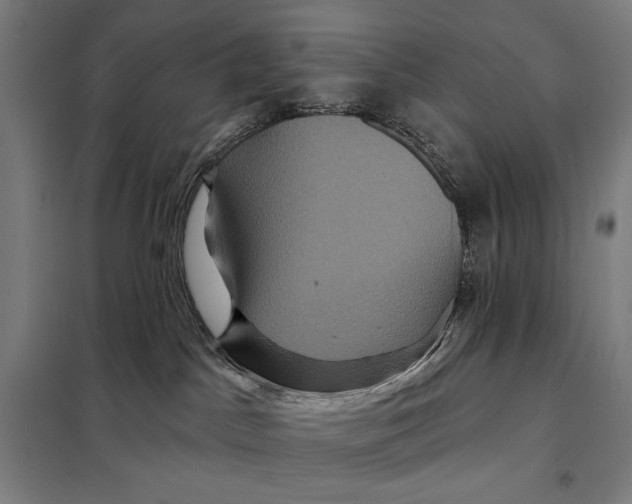 X0000097890045200804041320