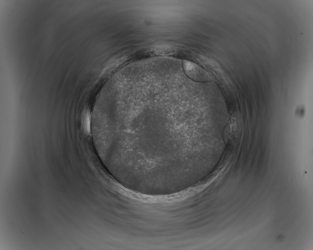 X0000097890046200804041320