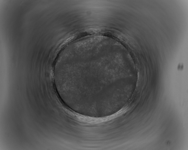 X0000097890048200804041320