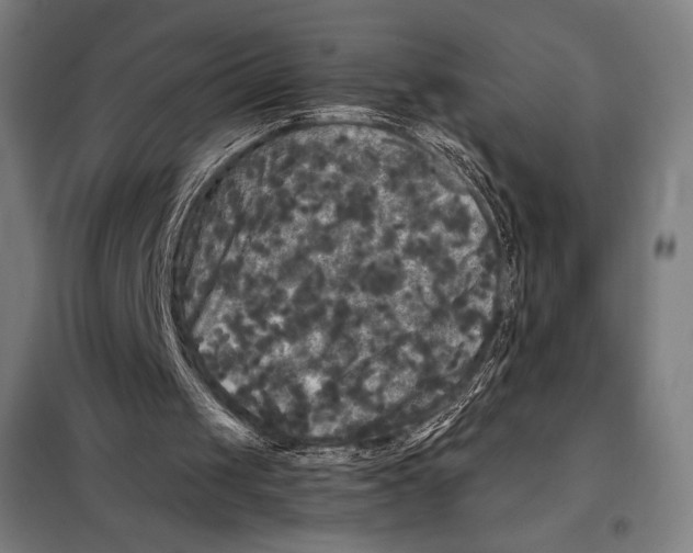 X0000097890049200804041320