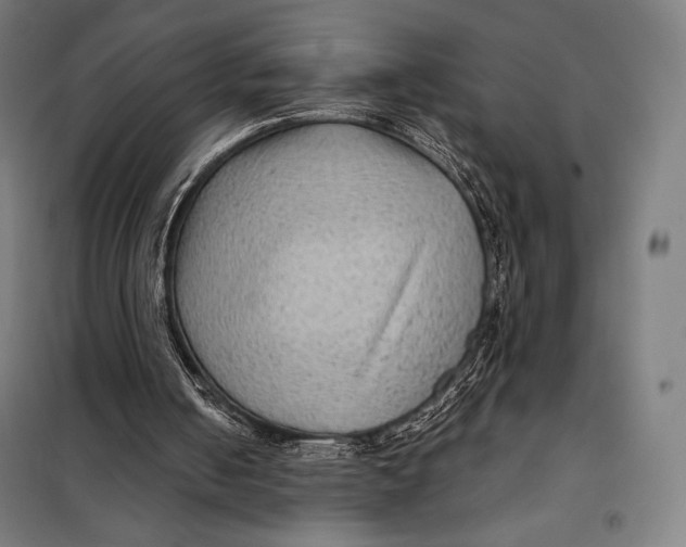 X0000097890050200804041320