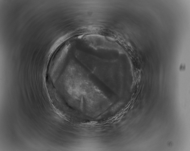 X0000097890051200804041320