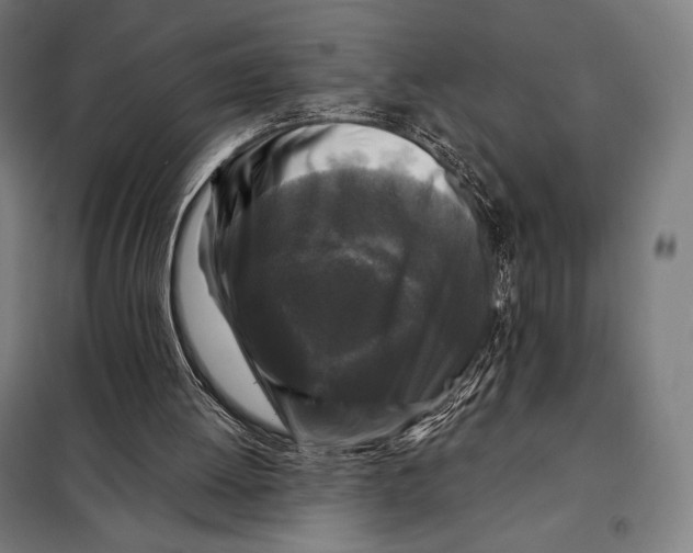 X0000097890052200804041320