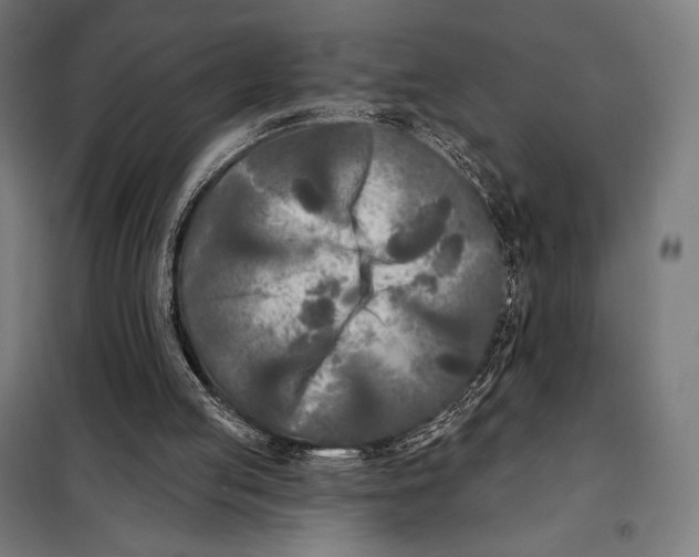 X0000097890053200804041320