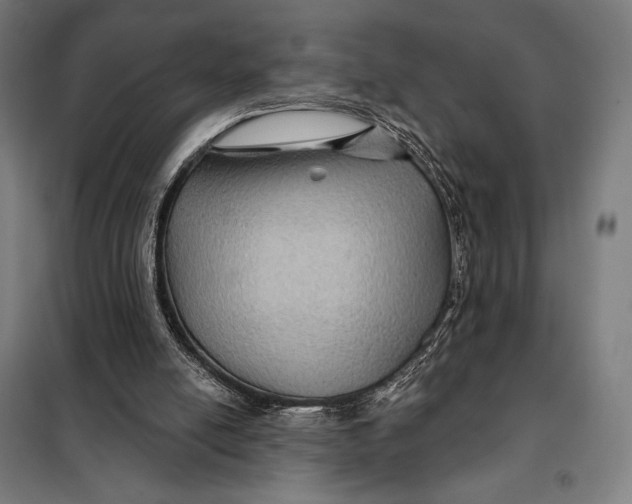 X0000097890054200804041320