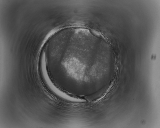 X0000097890056200804041320