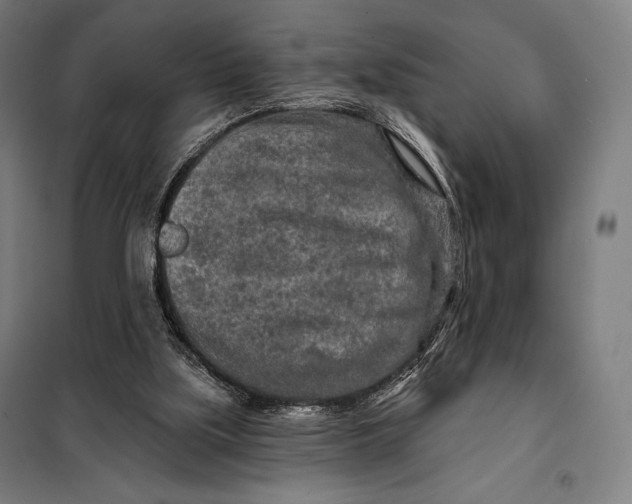 X0000097890059200804041320