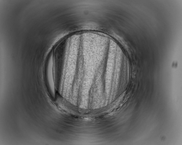 X0000097890060200804041320