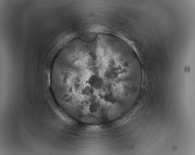 X0000097890061200804041320