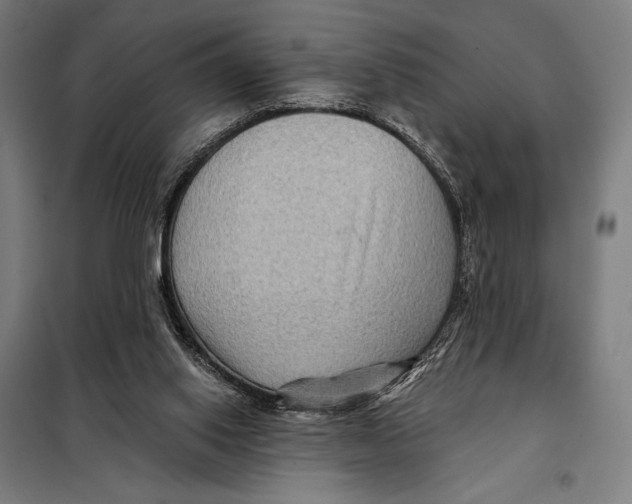 X0000097890062200804041320