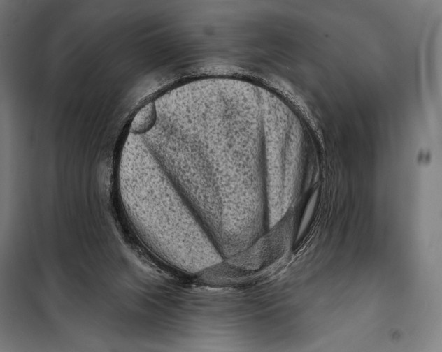 X0000097890063200804041320