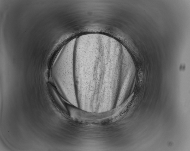 X0000097890064200804041320