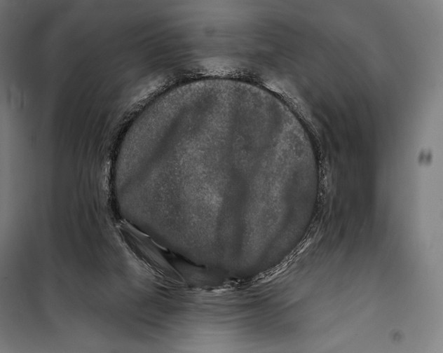 X0000097890066200804041320