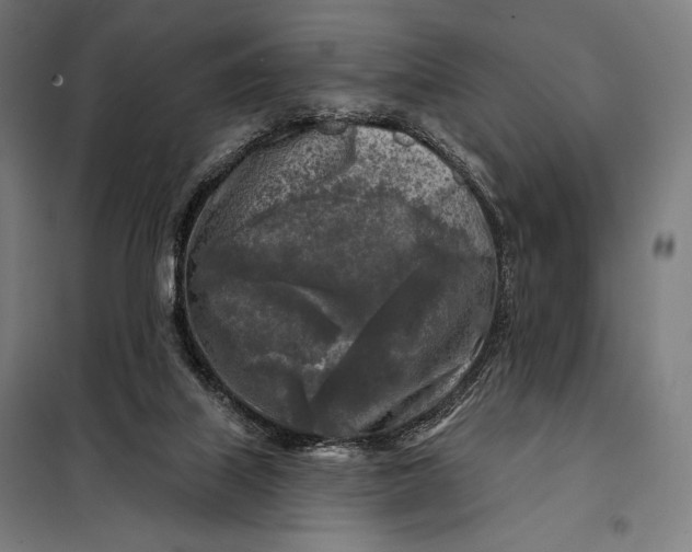 X0000097890067200804041320