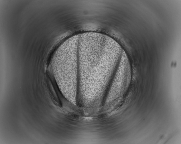 X0000097890068200804041320