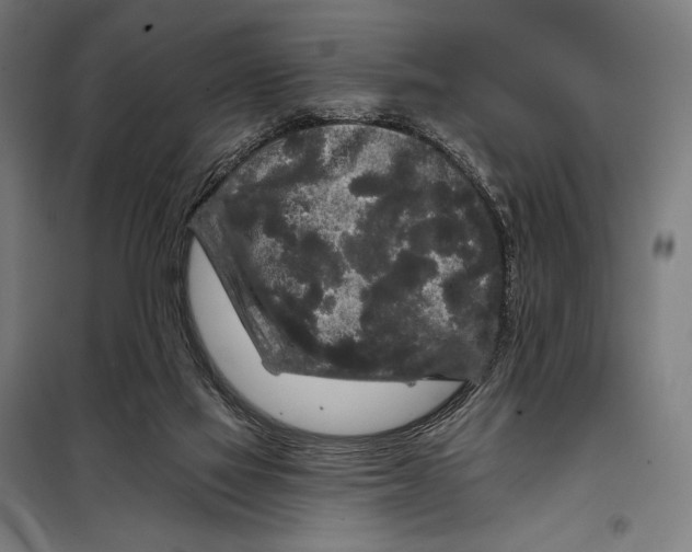 X0000097890069200804041320