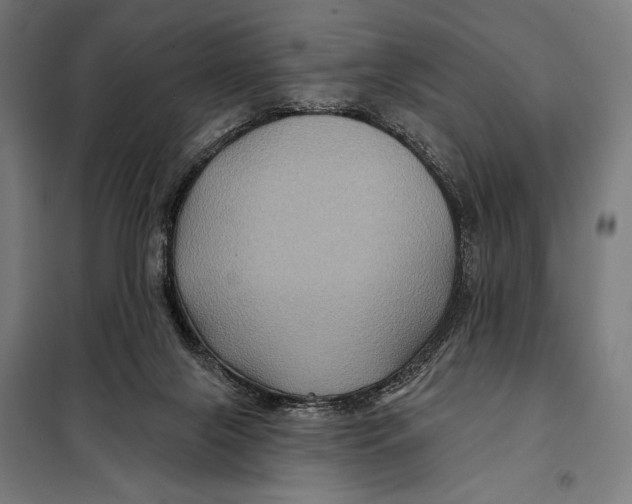 X0000097890071200804041320