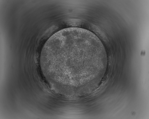 X0000097890073200804041320