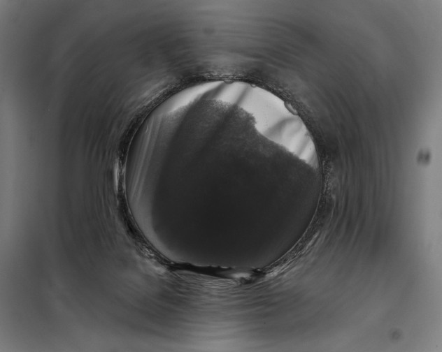 X0000097890076200804041320