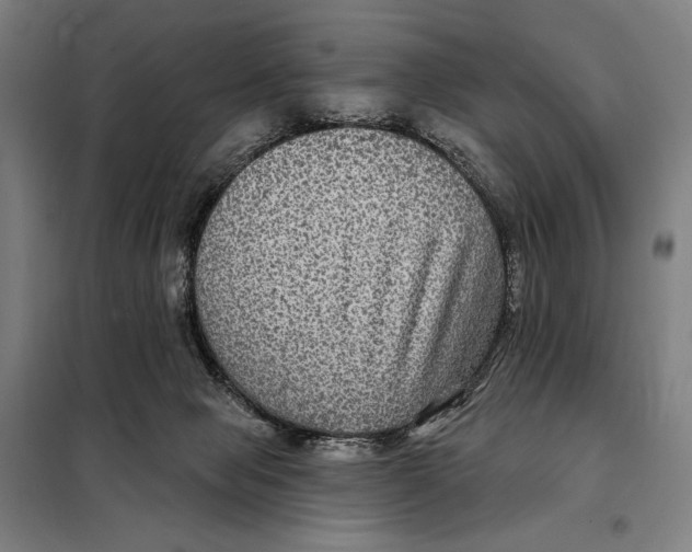 X0000097890077200804041320