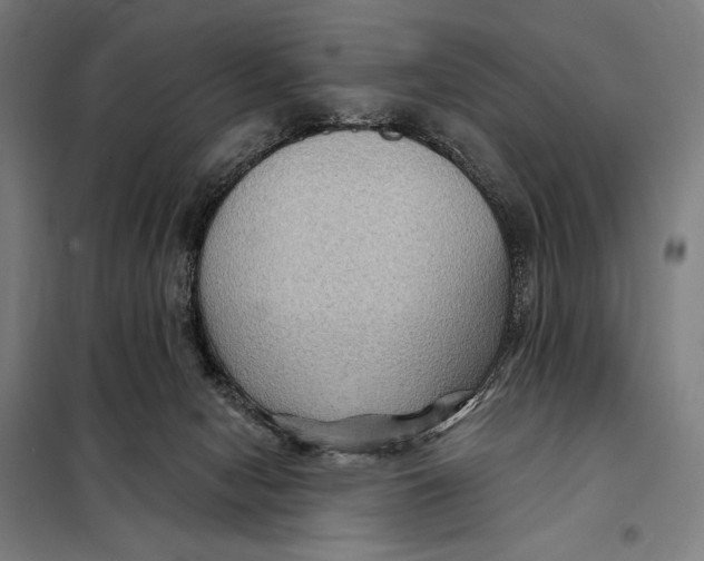 X0000097890078200804041320