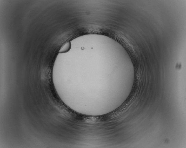 X0000097890079200804041320