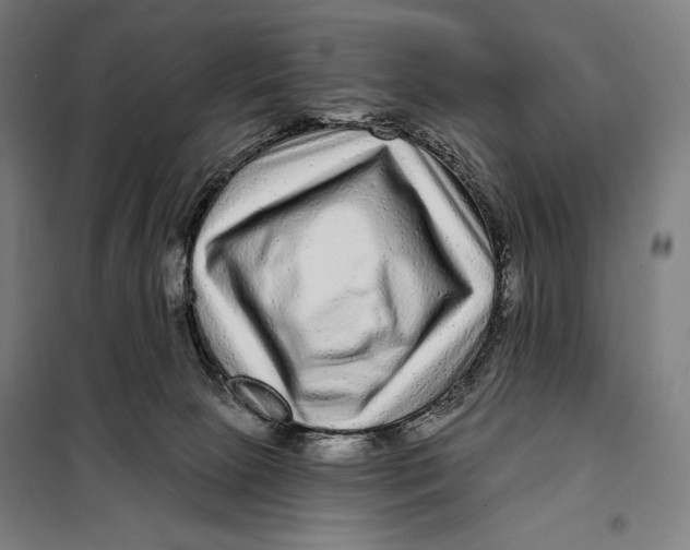 X0000097890081200804041320