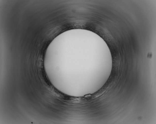 X0000097890083200804041320