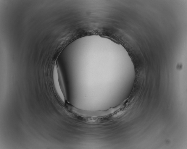 X0000097890088200804041320