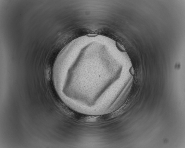 X0000097890090200804041320