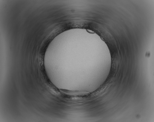 X0000097890091200804041320