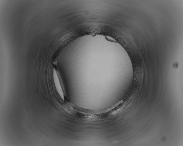 X0000097890092200804041320