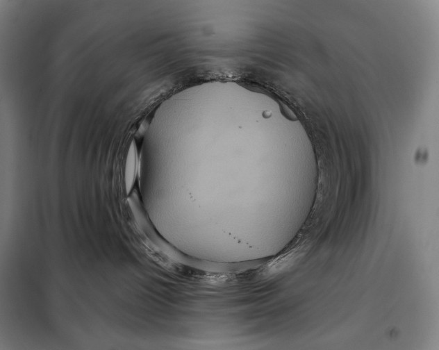 X0000097890096200804041320