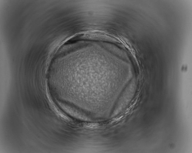 X0000097890097200804041320