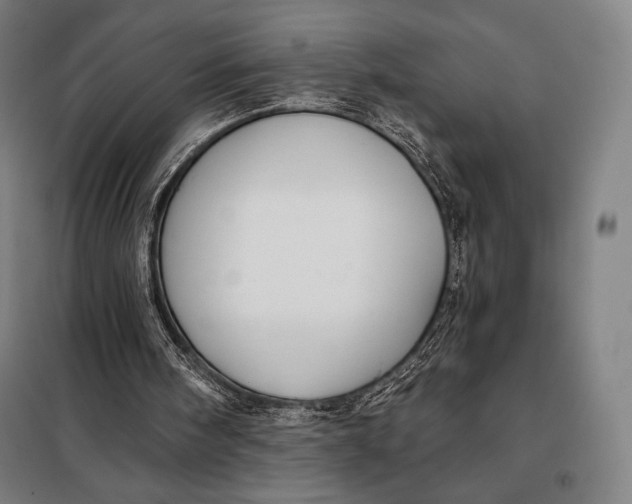 X0000097890098200804041320