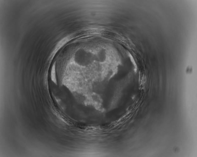 X0000097890099200804041320