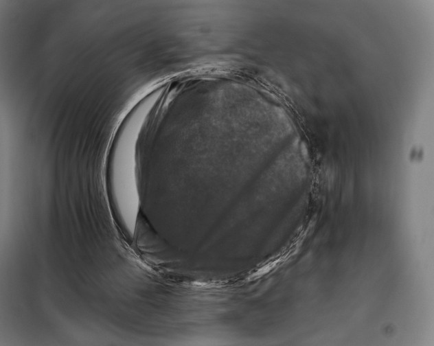 X0000097890100200804041320