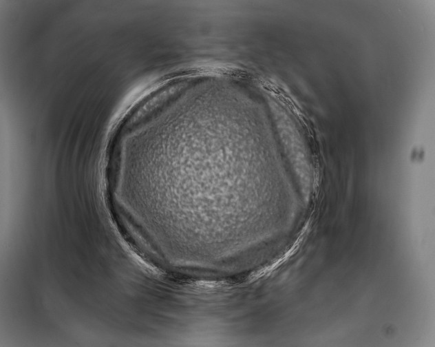 X0000097890101200804041320