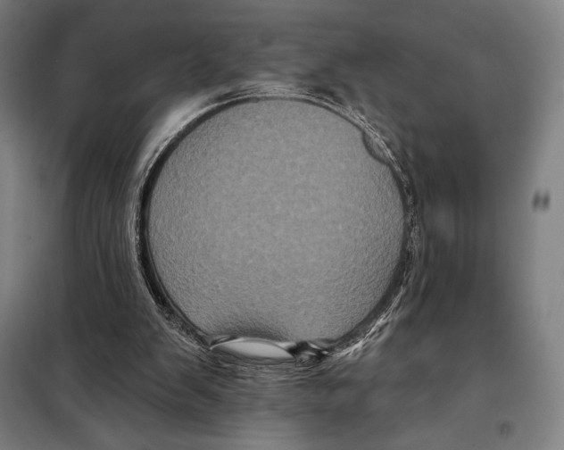 X0000097890103200804041320