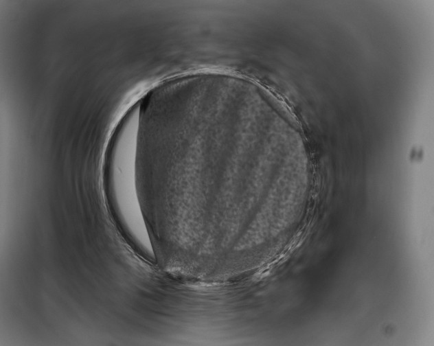 X0000097890104200804041320