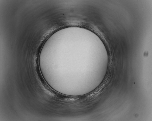 X0000097890106200804041320